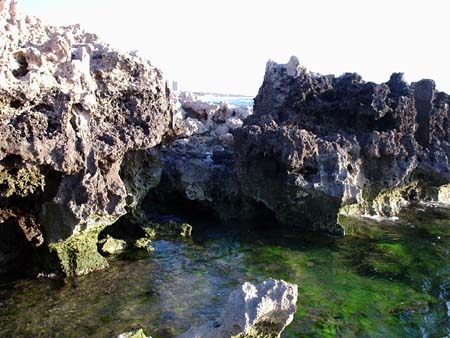 pretty reef with scaraboro in background